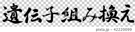 遺伝子組み換え 42220099