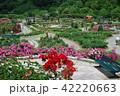 バラ園 42220663
