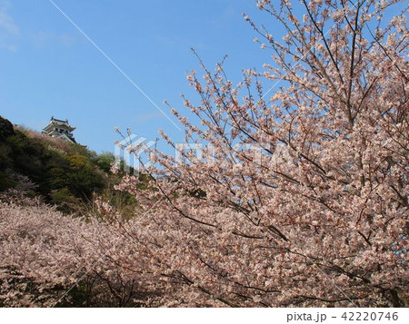 館山城 館山城 42220746