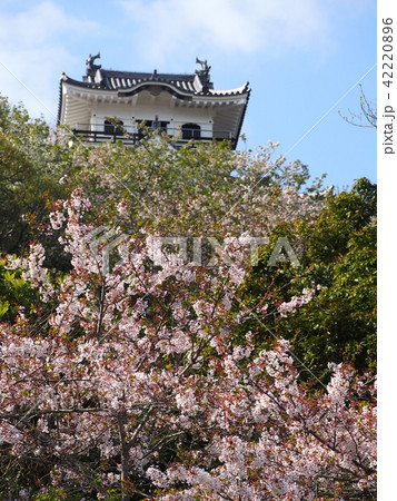 館山城 館山城 42220896