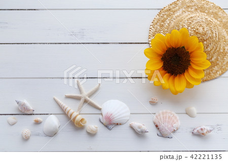 夏イメージ　ひまわりと貝殻 42221135