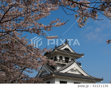 館山城 館山城 42221136