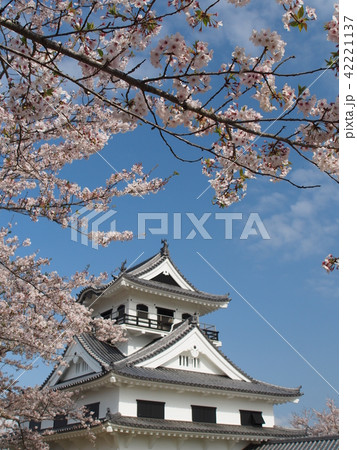 館山城 館山城 42221137