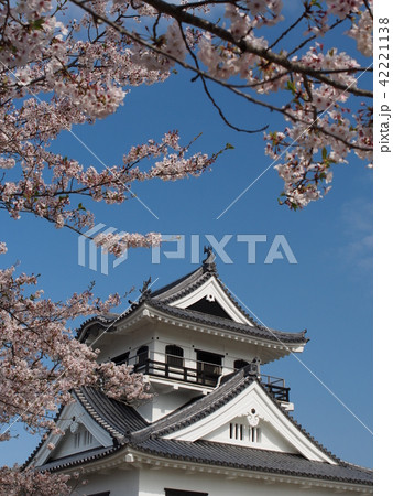 館山城 館山城 42221138