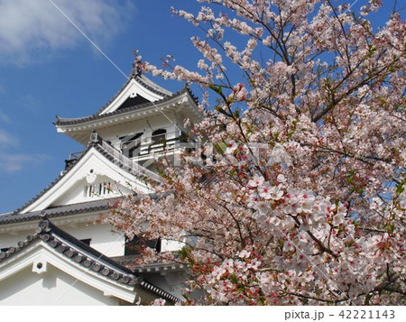 館山城 館山城 42221143