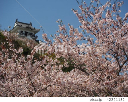 館山城 42221182