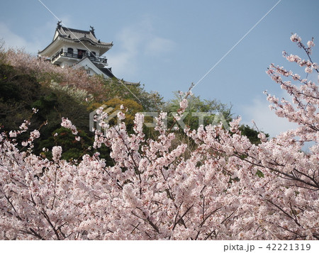 館山城 館山城 42221319