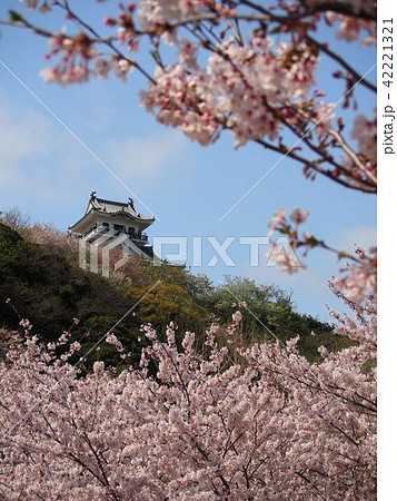 館山城 館山城 42221321
