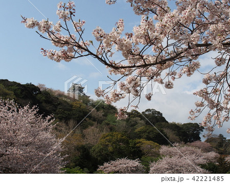 館山城 館山城 42221485