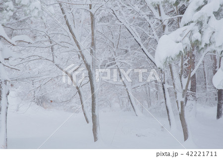 雪景色 雪景色 42221711