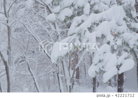 雪景色 雪景色 42221712