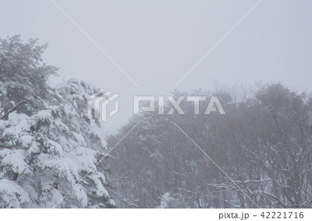 雪景色 雪景色 42221716