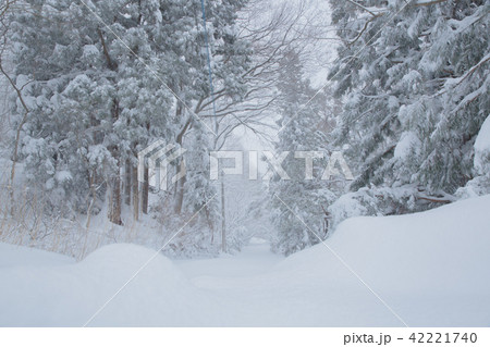 雪景色 42221740
