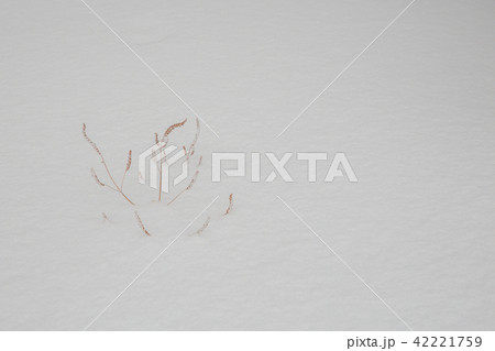 雪景色 雪景色 42221759