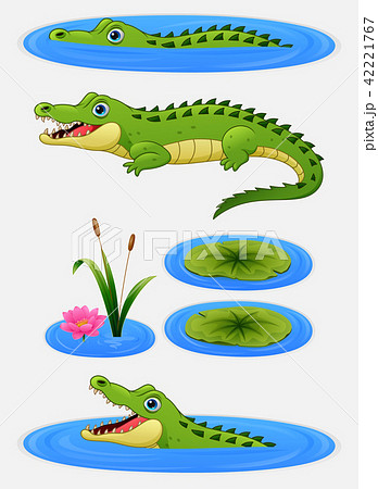 Set Of Cartoon Crocodile And Water Lilyのイラスト素材
