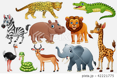 Cartoon wild animals on white background 42221775