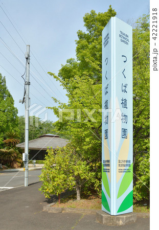 つくば市散歩:筑波実験植物園 つくば市散歩:筑波実験植物園 42221918