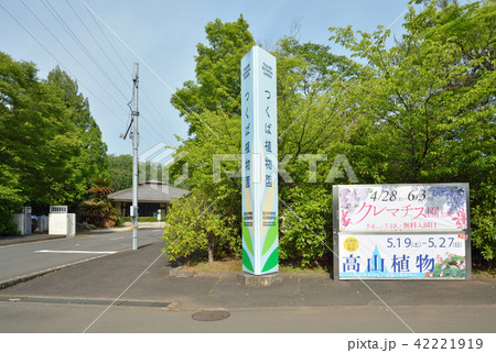 つくば市散歩:筑波実験植物園 つくば市散歩:筑波実験植物園 42221919