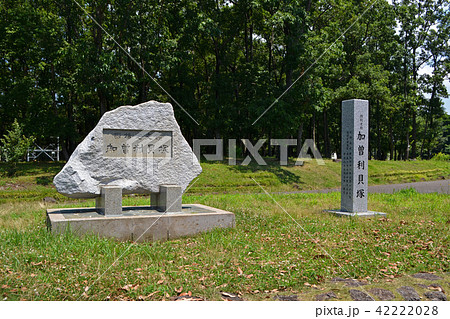 加曽利貝塚　碑 42222028