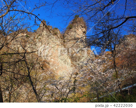 妙義山さくらの里 42222030