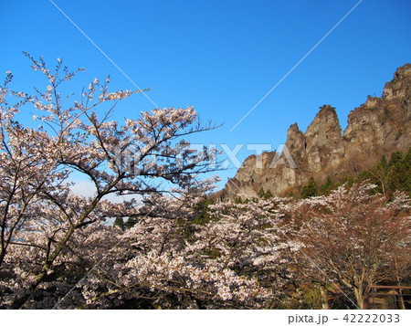 妙義山さくらの里 妙義山さくらの里 42222033