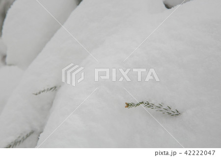 雪景色 雪景色 42222047