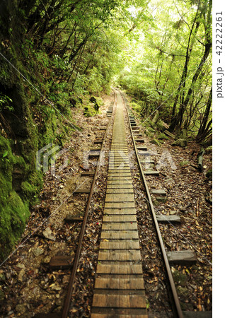 トロッコ道 42222261