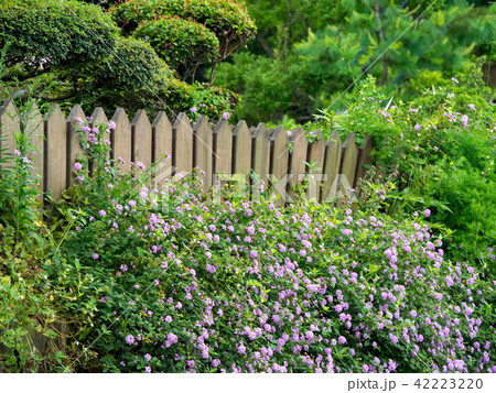 flower garden 42223220