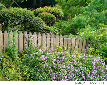 flower garden 42223221