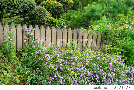 flower garden 42223223