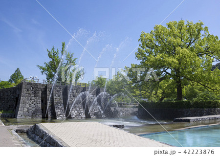 岩国 吉香公園の噴水 岩国 吉香公園の噴水 42223876