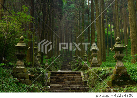 上色見熊野座神社 上色見熊野座神社 42224300