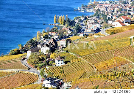 秋のレマン湖畔 42224866