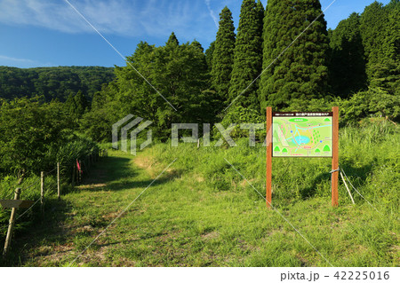 城島高原　猪の瀬戸湿原 42225016