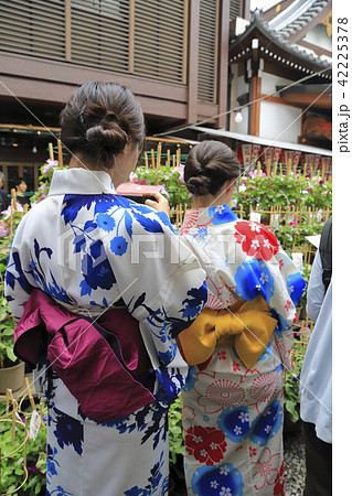 東京入谷 鬼子母神 朝顔市 7月の写真素材