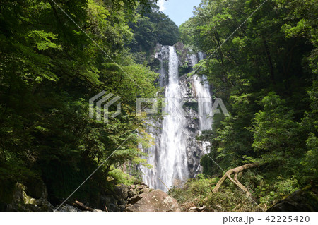 尾鈴山瀑布群 尾鈴山瀑布群 42225420