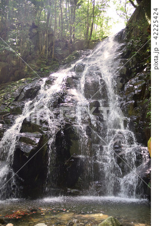 尾鈴山瀑布群 42225424