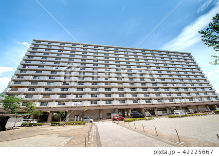 都営西新小岩一丁目アパート 都営西新小岩一丁目アパート 42225667