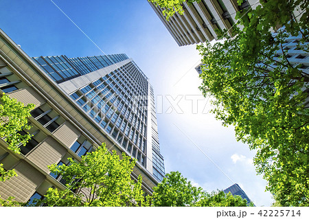 緑の多いオフィス街の風景 緑の多いオフィス街の風景 42225714