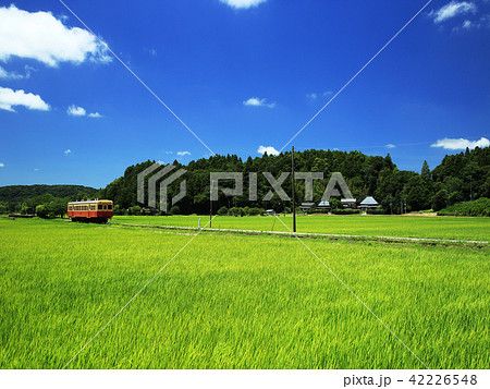 田園を走る小湊鉄道 42226548