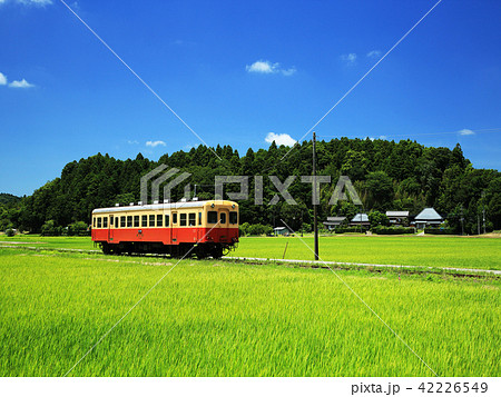 田園を走る小湊鉄道 42226549