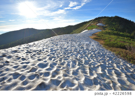 中門岳方面から見る残雪の尾根と会津駒ケ岳 42226598
