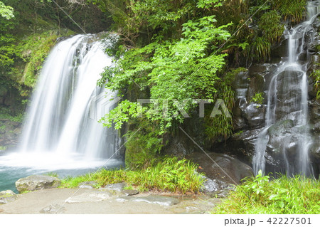 河津七滝の初景滝、静岡県賀茂郡河津町にて 42227501