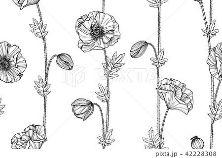 Seamless Poppy Flower Pattern Background のイラスト素材 42228308 Pixta