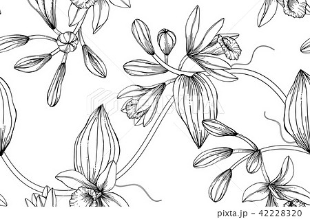 Seamless Vanilla flower pattern background.  42228320