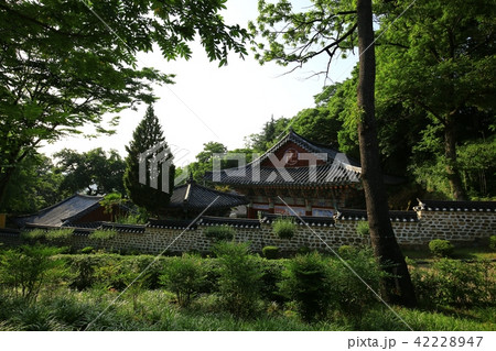 晋州城 チョクソクル 真珠 42228947