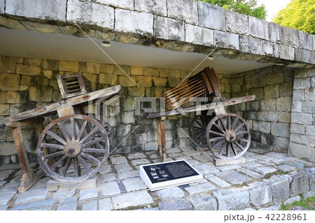 晋州城 チョクソクル 真珠 42228961
