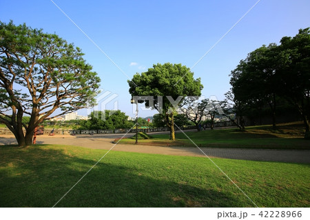 晋州城 チョクソクル 真珠 42228966