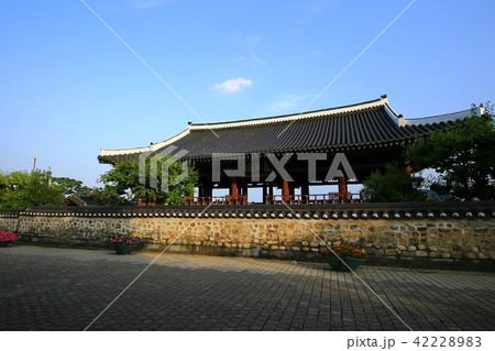 晋州城 チョクソクル 真珠 42228983