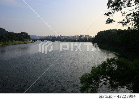 晋州城 チョクソクル 真珠 42228994